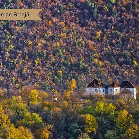 One66 Braşov