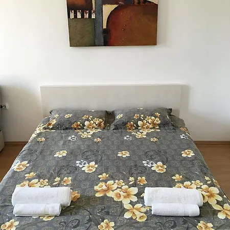 Hostel Transylvania * Брашов